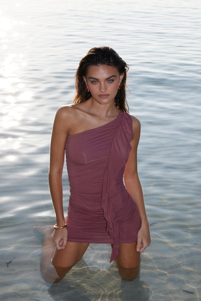 Spriza Mini Dress - Wine