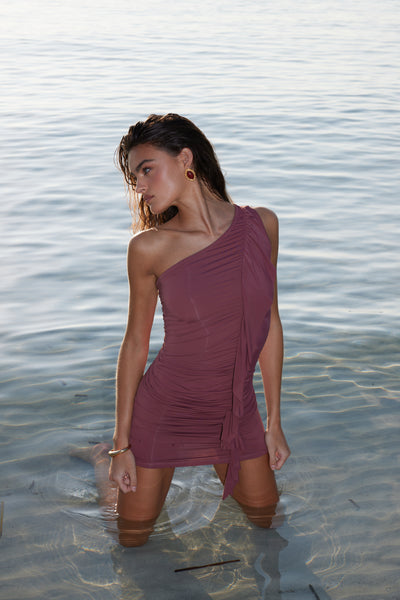 Spriza Mini Dress - Wine